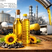 Экспортные поставки масло наливом от производителя ГК «Юг Руси»